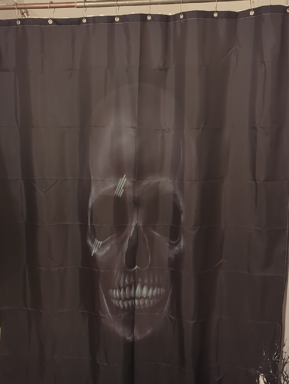 Skull Graphic Black Shower Curtain - Unbranded
